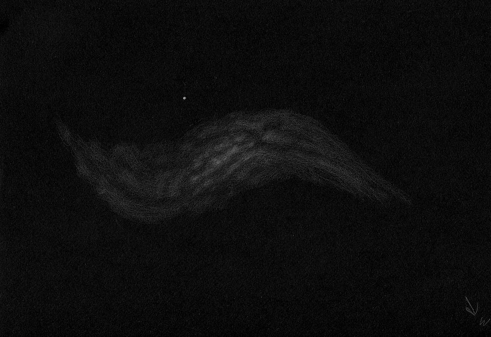 Galaxy NGC 660 in Pisces